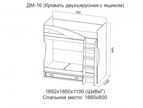 ДМ-16 Кровать двухъярусная с ящиком в Режи - rezh.magazin-mebel74.ru | фото