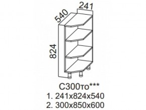 С300то Стол-рабочий 300 (торцевой открытый) в Режи - rezh.magazin-mebel74.ru | фото