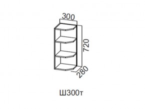 Ш300т/720 Шкаф навесной 300/720 (торцевой) в Режи - rezh.magazin-mebel74.ru | фото