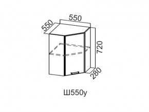 Ш550у/720 Шкаф навесной 550/720 (угловой) в Режи - rezh.magazin-mebel74.ru | фото