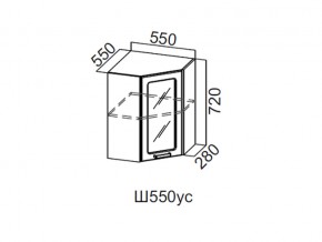 Ш550ус/720 Шкаф навесной 550/720 (угловой со стеклом) в Режи - rezh.magazin-mebel74.ru | фото