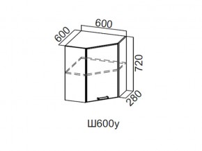 Ш600у/720 Шкаф навесной 600/720 (угловой) в Режи - rezh.magazin-mebel74.ru | фото