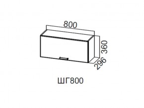 ШГ800/360 Шкаф навесной 800/360 (горизонт.) в Режи - rezh.magazin-mebel74.ru | фото