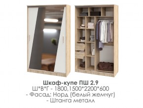 шкаф-купе ПШ-2.9 1500 Норд Белый жемчуг 1500 в Режи - rezh.magazin-mebel74.ru | фото