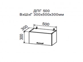 Шкаф верхний ДПГ500 горизонтальный в Режи - rezh.magazin-mebel74.ru | фото