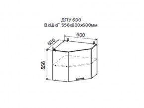Шкаф верхний ДПУ600 угловой в Режи - rezh.magazin-mebel74.ru | фото