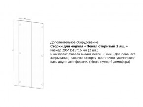 Створки для Пенал открытый в Режи - rezh.magazin-mebel74.ru | фото